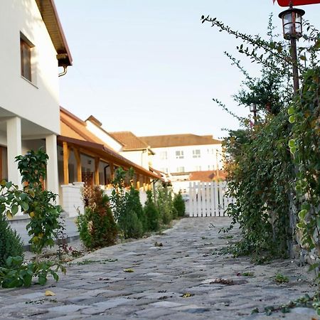 Pensiunea Rustic Хунедоара Экстерьер фото